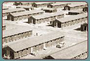 Barracks in the camp.